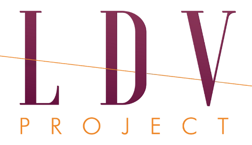 LDV Project