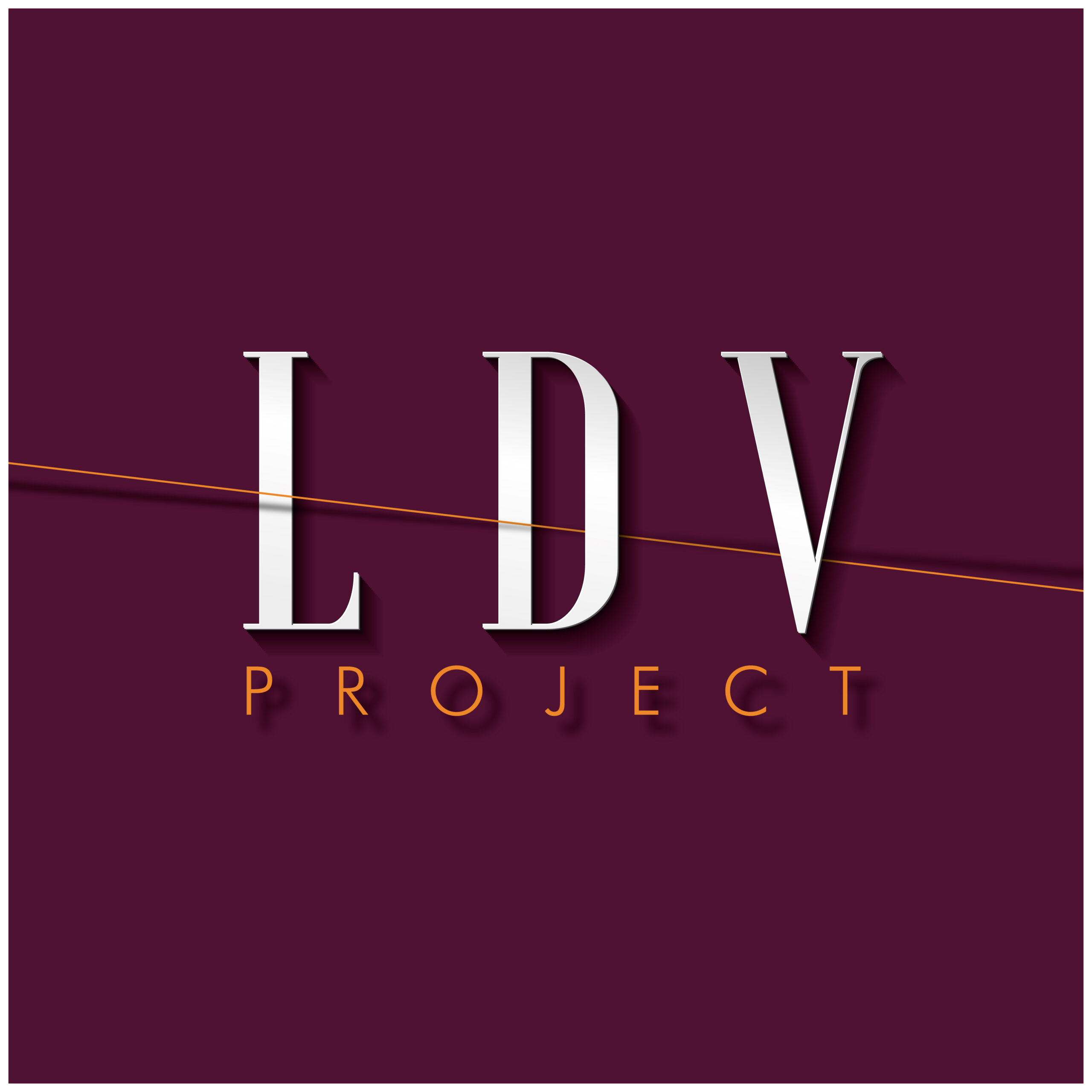 LDV Project